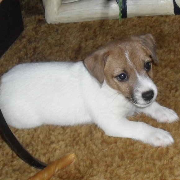 Thanks for shopping my closet!!! - Picture 11 of 16